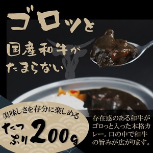 和牛がゴロッと黒カレー 200g×4P ( カレー 和牛 和牛カレー 冷凍 簡単 )【A8-026】