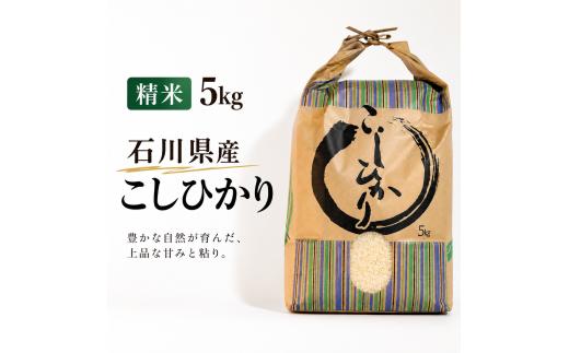 【米】【 令和7年産 】 精米5kg 単品 こしひかり 石川県産 ｜[ 高田米肥店 ] お米 5kg コメ こめ kome ※ 米 精米 5キロ ご飯 ごはん 御飯 米袋 精米米 精米品 精米済み はくまい 米飯 / 北陸支援 石川県 羽咋市 能登 米 コシヒカリ