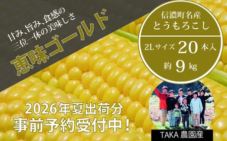 【2026年夏の予約受付開始！】信濃町名産とうもろこし『TAKA農園の恵味（めぐみ）ゴールド』2Lサイズ（1本450ｇ相当）×20本セット、約9kg／スイートコーンの人気品種、現在出荷中！ 2026年7月下旬から8月下旬まで随時出荷予定【長野県信濃町ふるさと納税】