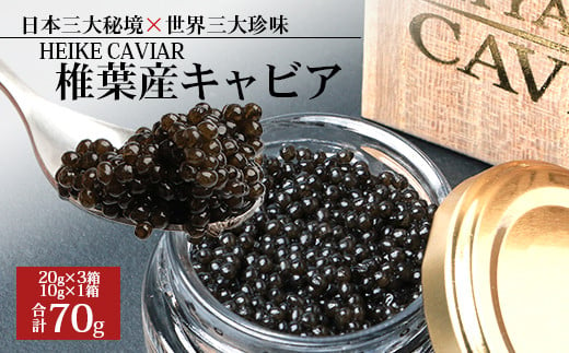 【桐箱入り】HEIKE CAVIAR 70ｇ 【宮崎県 椎葉村】【世界三大珍味×日本三大秘境】［宮崎 椎葉 国産 ちょうざめ チョウザメ きゃびあ キャビア 70g 魚卵 卵 クリーミー お酒 魚介 珍味 加工品 食べ物 冷凍 高級 贅沢 お取り寄せ お取り寄せグルメ ディナー パーティー おつまみ グルメ ギフト 記念日 誕生日 プレゼント お祝い 贈り物 贈答 桐箱 希少］【SZ-109】