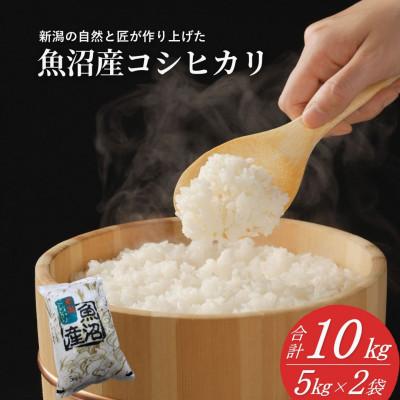 ふるさと納税 小千谷市 令和7年産 魚沼産 コシヒカリ 精米 10kg　共栄農工社のおいしいお米 新潟県 小千谷市