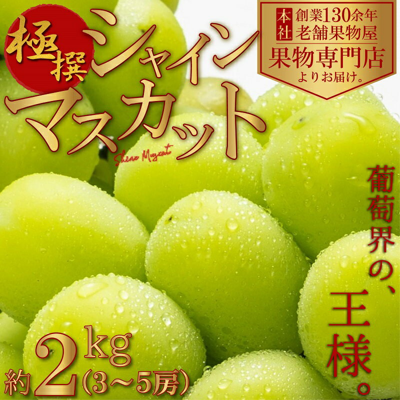 【ふるさと納税】【2025年先行予約 極撰】シャインマスカット　約2kg（3～5房） 果物 ぶどう フルーツ デザート 食後 国産 日本産 産地直送 ジューシー 種なし 観音寺産 　お届け：2025年8月中旬～10月中旬