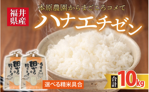 【先行予約】【令和8年産・新米】 ハナエチゼン10kg(5kg×2袋) ～本原農園からまごころコメて～（白米）【2026年9月上旬以降順次発送予定】 [B-8946_01]
