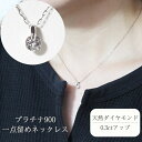 【ふるさと納税】プラチナ 一点留め天然ダイヤモンドネックレス　【 アクセサリー ジュエリー 装飾品 ファッション小物 普段使い おしゃれ 装飾品 】