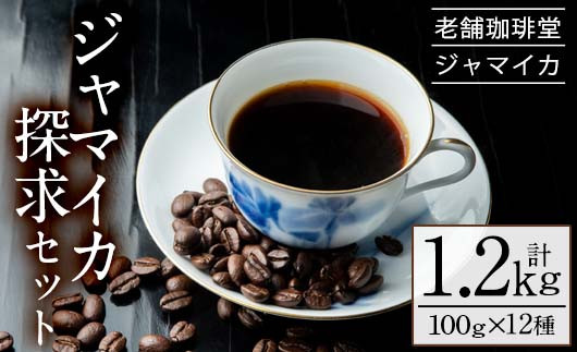 
地元老舗 コーヒー店 店主が贈る 自家焙煎 珈琲豆 ”ジャマイカ探究セット”（100g×12種）地元老舗店 珈琲堂ジャマイカ 自家焙煎 コーヒー 珈琲 詰め合わせ 飲み比べ 豆 粉 ギフト 贈答 母の日 父の日 敬老の日 にも！【B-303H】
