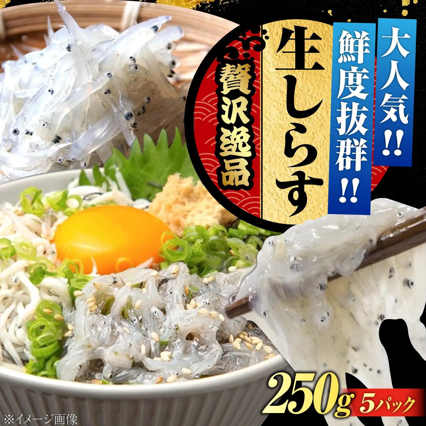 冷凍生しらす50g×5個 しらす[XCN002]