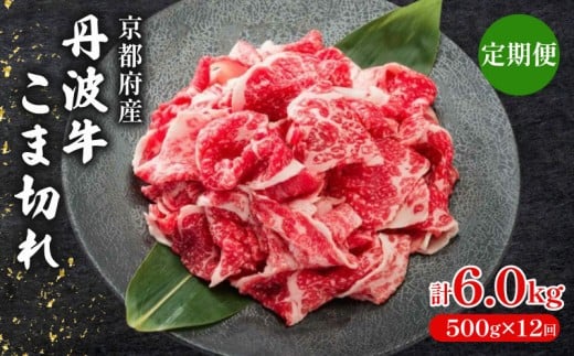 【 12ヶ月 定期便 】 丹波牛こま切れ 500g × 12回 6.0kg 【 丹波牛 牛肉 和牛 ブランド牛 肉 お肉 精肉 国産 国産牛 黒毛和牛 こま切れ 細切れ 小間切れ やわらかい 人気 おすすめ グルメ お取り寄せ 厳選 極上 すき焼き 肉じゃが 煮物 料理  贈り物 プレゼント お歳暮 お中元 ギフト 冷凍 京都 京丹波 京丹波町 いづつ屋 】