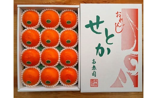 
            化粧箱 柑橘の大トロ ハウス せとか 厳選 12玉入
          