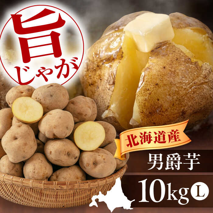 【ふるさと納税】【2025年9月下旬以降順次発送】 新じゃが じゃがいも 男爵芋 10Kg 《喜茂別町》【Aコープようてい】 ジャガイモ じゃがいも 野菜 季節の野菜 詰め合わせ 北海道 産地直送 [AJAK008] 8000 8000円