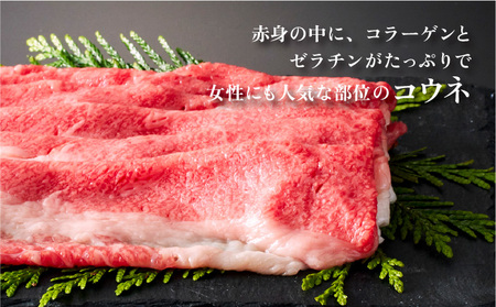 佐賀牛すき焼きセット (ローススライス・コウネちゃん) 1kg (各500g×2種)