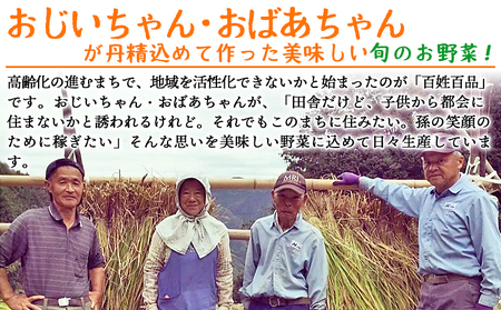 ＜せいよのうまいもんセット 3回定期便＞ 西予市産 愛媛県産 国産 旬 季節の野菜 やさい おまかせ 詰め合わせ 5～7品目 お楽しみ 特産品 百姓百品株式会社 愛媛県 西予市 【冷蔵】『1か月以内に