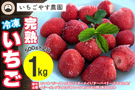 冷凍 完熟いちご１kg（500g×2袋）／いちごやす農園
