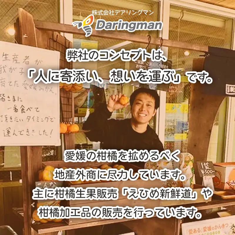 【2027年1月下旬から順次発送 】【伊予柑】 約10kg 伊予柑 愛媛県松山市【DRM006】