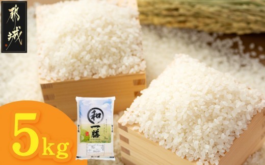 
                  都城産と国産のブレンド米 5kg〔AA-15-014-5kg〕_(都城市) お米 国産ブレンド米 5kg 精米
                