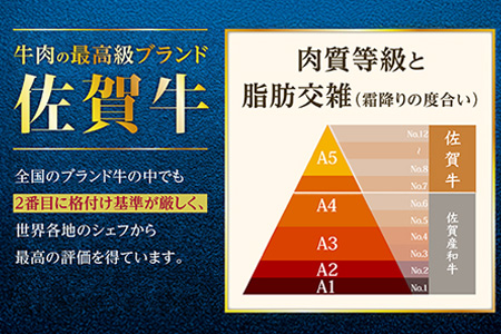 E-29 佐賀牛 ロース焼肉用500ｇ