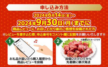 【順次発送】 訳あり 厚切り 牛タン 塩ダレ漬け 1kg 軟化加工（牛タン 牛たん 訳あり牛タン 訳あり牛たん 厚切り牛タン 厚切り牛たん 大人気の牛タン 大人気の牛たん ふるさと納税）