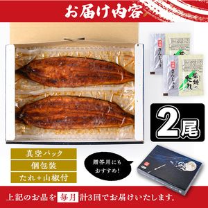 【E57003】＜定期便・計3回(連続)＞うなぎ蒲焼・大(有頭)(2尾・計330g以上×3回、タレ、山椒付)鹿児島 国産 鰻 うなぎ ウナギ 蒲焼き うな丼 うな重 ひつまぶし 土用の丑の日 真空パッ
