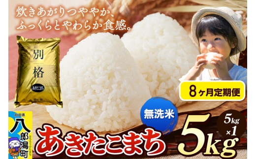 《令和8年産 新米》《定期便8ヶ月》米 あきたこまち 5kg【無洗米】秋田県産 [新米 米 コメ 無洗米 あきたこまち おいしい 美味しい 安全 自然の恵み]