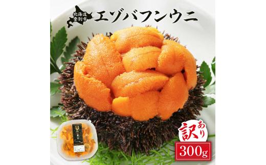 
訳あり 規格外品 無添加 エゾバフンウニ 塩水パック 300g　|うに 高級 ウニ 雲丹 バフンウニ 生ウニ 塩水パック 人気 ふるさと納税 北海道 登別市
