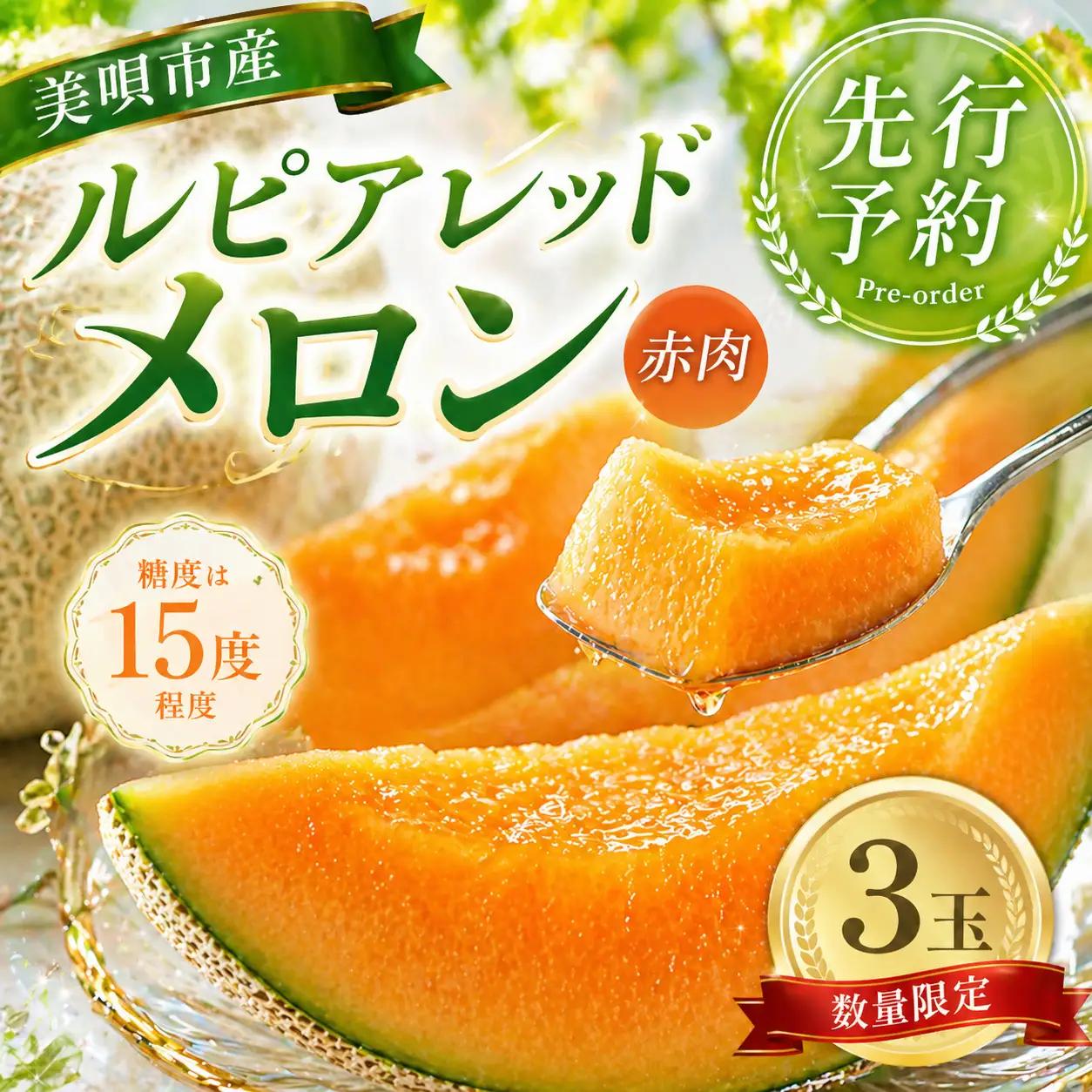 【2026年発送】【先行予約】【数量限定】美唄市産ルピアレッドメロン３玉（赤肉） ｜ メロン
