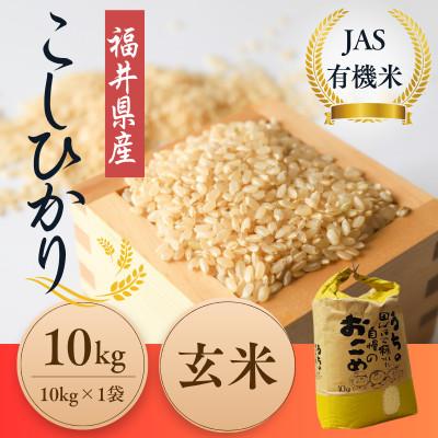 ふるさと納税 小浜市 福井県産こしひかり　JAS有機米　玄米　10kg　