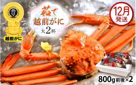 越前がに本場の越前町からお届け！ 越前がに 浜茹で 大サイズ（生で800g前後） × 2杯 かにの食べ方しおり かにスプーン付き【かに カニ 蟹】【福井県 越前町 雄 ズワイガニ ボイル 冷蔵 越前ガニ 越前かに 越前カニ ずわいがに ずわい蟹 かに カニ 蟹】【12月発送分】希望日指定可 備考欄に希望日をご記入ください [e15-x011_12]