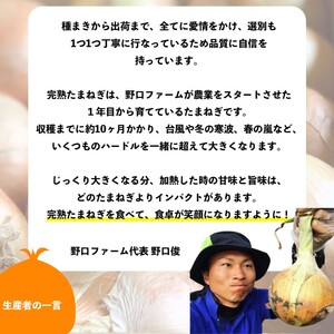 【12回定期便】mama-yasai たまねぎ５kg