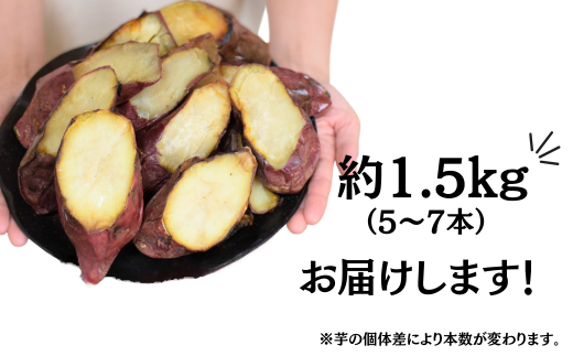 【訳あり】冷凍焼き芋 5〜7本 (約1.5kg) | 紅はるか 農家自家製 蜜 あふれる 石焼き芋 いしやきいも ヤキイモ 焼きイモ さつまいも サツマイモ さつま芋 ねっとり しっとり 真空パック 