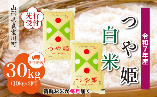 ＜令和7年産米先行受付＞ 真室川町産 特別栽培米 つや姫 【白米】 定期便 30kg （10kg×1ヶ月間隔で3回お届け）＜配送時期指定可＞