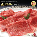 【ふるさと納税】山形の極み 山形牛 すき焼用 肉質等級：4等級(B.M.S.No.5)以上 F2Y-2523