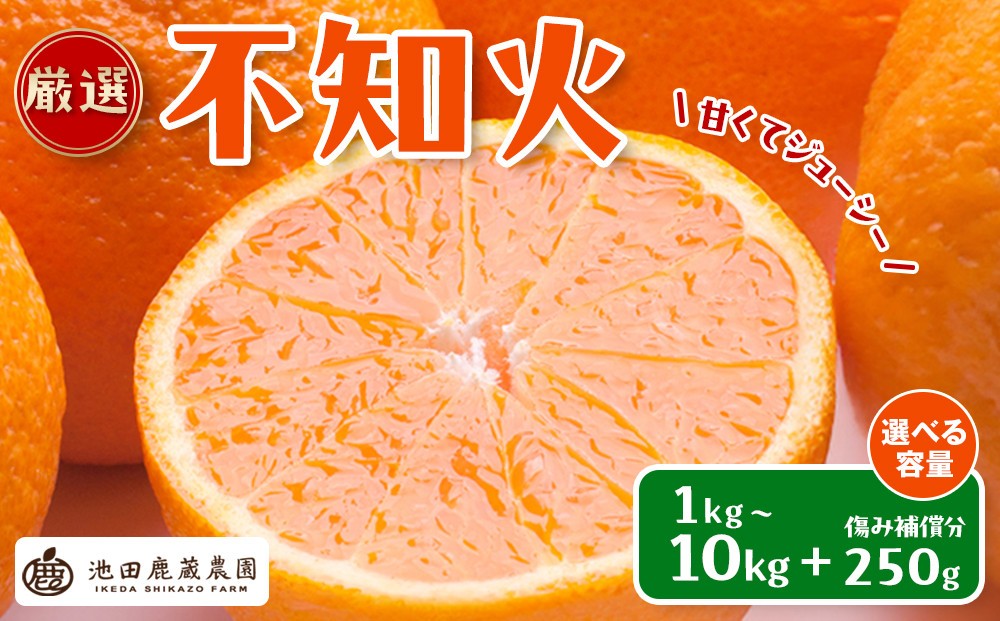 
                  【選べる容量】先行予約 厳選 不知火 1～10kg+250g（傷み補償分）［デコポンと同品種・人気の春みかん］［IKE253］
                