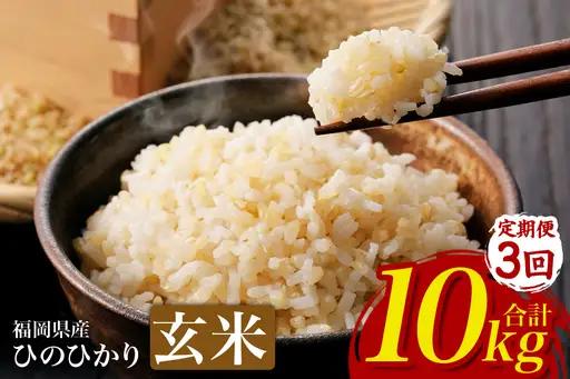 【3回定期便】【ふるさと納税】ひのひかり 米 お米 玄米 10kg 10キロ 福岡県産 うきは市 国産 精米 ご飯 ごはん おにぎり お弁当 人気 おすすめ 家庭用 送料無料 新米 ストック 厳選 農家直送 大容量【JA福岡くるめ にじの耳納の里】