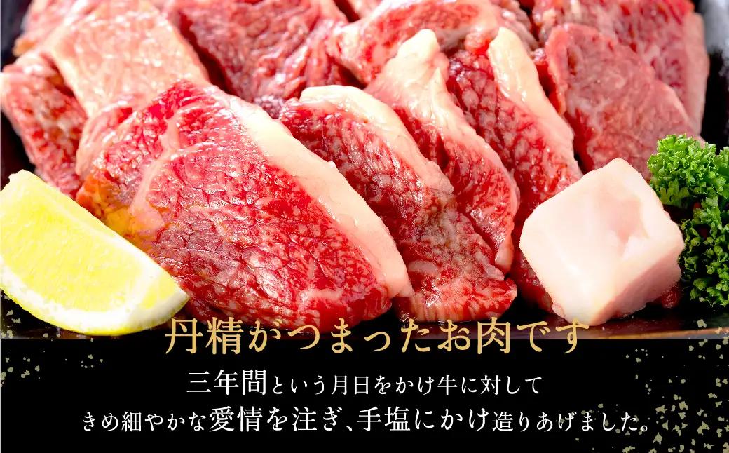 神戸牛 牛カルビ焼肉用 切り落とし400g（バラ・肩・モモ）TYY1