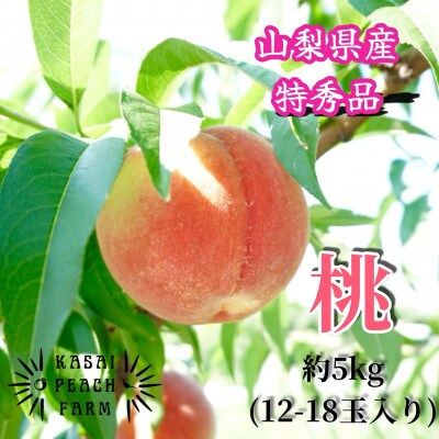 【2026年発送】厳選朝採り桃 山梨の笠井桃園の桃 約5kg【配送不可地域：離島】【1587434】