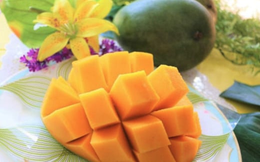 緑のキーツマンゴー2kg以上【2025年8~9月頃発送】生産者直