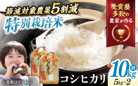【令和7年産新米】【特別栽培米】コシヒカリ 10kg[AQCQ013]