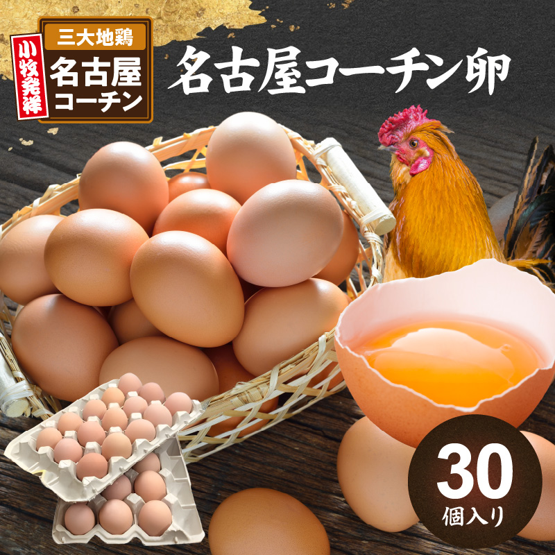 名古屋コーチン卵30個入り ［006K01］