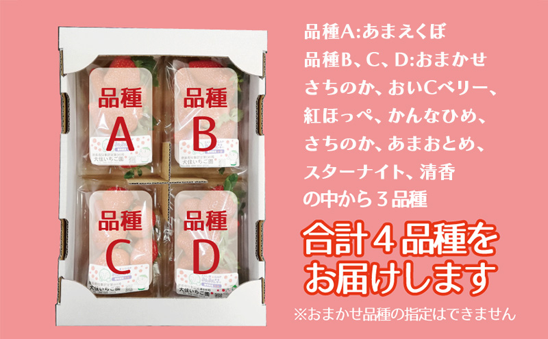 「あまえくぼ」+3品種　個性派いちご4品種食べ比べセット　250g×4パック　『とくしま安２（安全・安心）農産物』優秀認定取得
