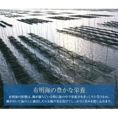 Z26-38 有明海産 焼き海苔 ボトル4本 10切100枚×4本 計400枚 焼き海苔