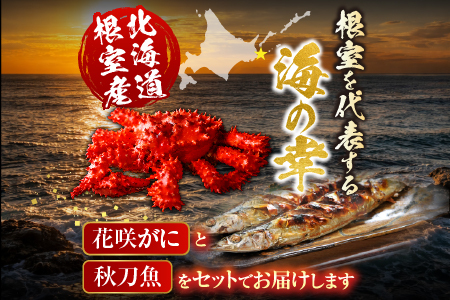 【北海道根室産】花咲かに2尾・冷凍さんま5尾セット A-36004