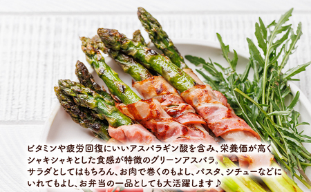 【2027年春発送】極太 グリーンアスパラ 2Lサイズ 2kg 北海道 富良野産 野菜 アスパラガス