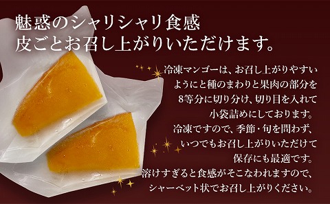 《2025年発送先行予約》【期間・数量限定】おがたのマンゴー　ご自宅用カット済完熟冷凍マンゴー　400g　小分けパック_M161-012_01