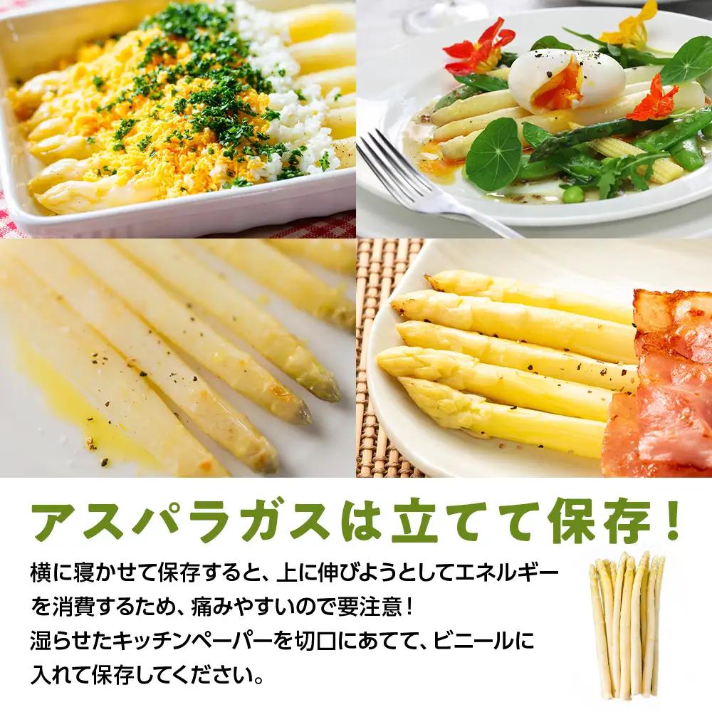 【2027年春発送】 ホワイトアスパラ 900g M～2L アスパラ アスパラガス 野菜 千歳 北海道