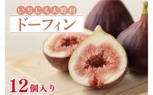 【数量限定】【7月上旬～11月発送】いちじく大野村(ドーフィン) 12個入 フルーツ果物（KAE-5）