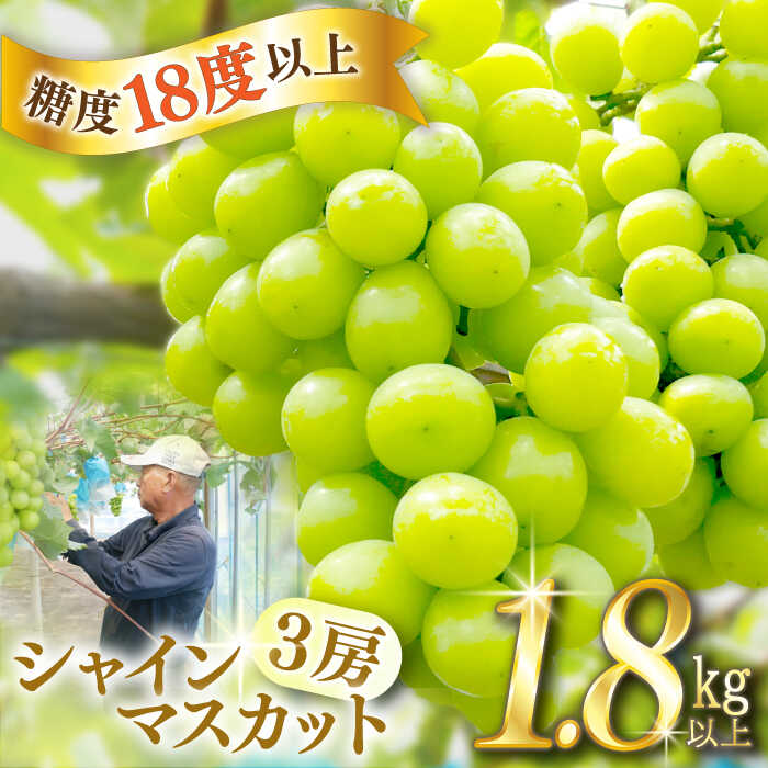 【ふるさと納税】【2026年8月中旬～発送】【数量限定】【糖度18度以上】シャインマスカット 3房 1.8kg以上 / ぶどう ブドウ 葡萄 マスカット しゃいんますかっと フルーツ 果物 / 南島原市 / ミナサポ[SCW072]
