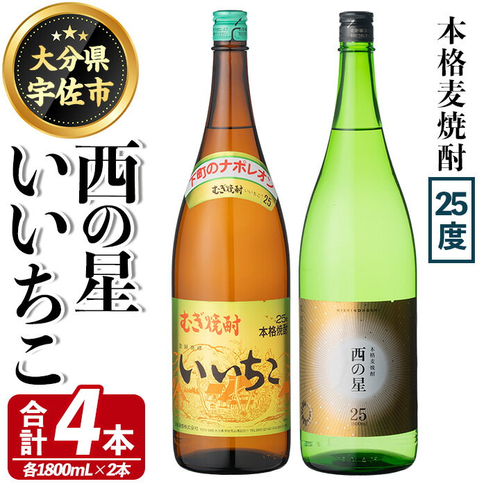 【ふるさと納税】いいちこ 西の星 ビン 25度(合計4本・1800ml×各2本)酒 お酒 焼酎 麦焼酎 アルコール 飲み比べ セット 詰め合わせ 詰合せ 三和酒類【114002701】【一般社団法人　地域商社USA】