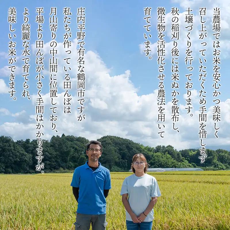 特別栽培米 つや姫 15kg(5kg×3袋) 令和8年産 山形県鶴岡市産　K-8120 黒川まるいし農場