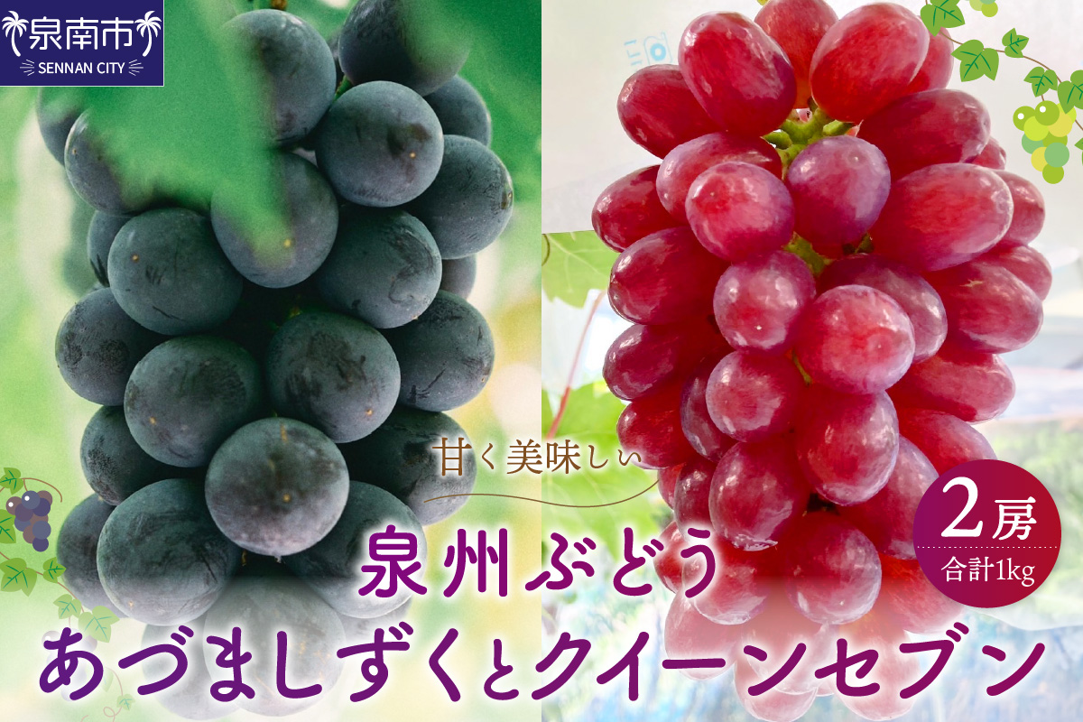 泉州ぶどう あづましずくとクイーンセブンの彩りセット【065D-017】
