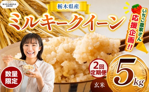 【栃木県共通返礼品】【定期2回】訳あり 数量 限定 定期便 令和8年度産 ミルキークイーン 約 5kg| とちぎの星 ミルキークイーン お米 kome okome ご飯 米 玄米 白米 ごはん おいしい ふるさと納税 那珂川町 栃木県 送料無料