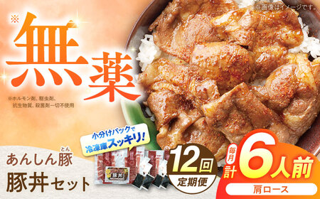 【12回定期便】豚丼セット計6人前 藤井ファーム[AWAF015]